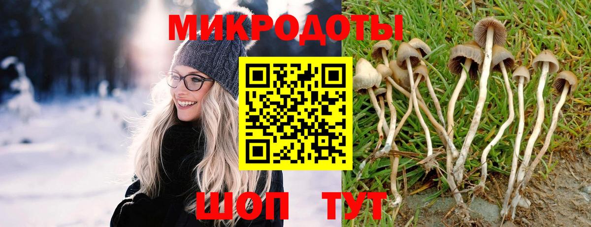 Галлюциногенные грибы GOLDEN TEACHER  Галлюциногенные грибы Cubensis  Вход с VPN  Орск 